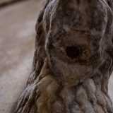 Tra le fauci del litico animale riusciamo a scorgere un piccolo foro ostruito, forse derivante da un precedente utilizzo dell�elemento come scolo per l�acqua piovana il cui scrosciare ha consumato in parte la criniera della bestia